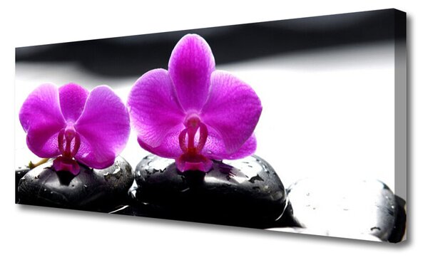 Tablou pe panza canvas Pietrele florale flori roz negru