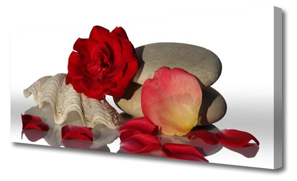 Tablou pe panza canvas Rose Conch pietre Art Roșu Alb Gri