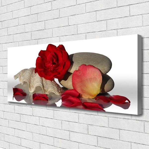 Tablou pe panza canvas Rose Conch pietre Art Roșu Alb Gri