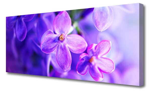 Tablou pe panza canvas Flori roz Floral