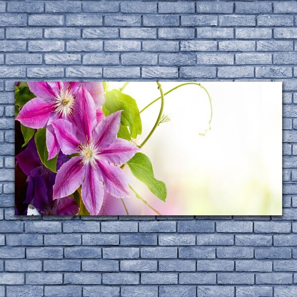 Tablou pe panza canvas Flori roz Floral