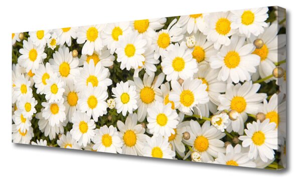 Tablou pe panza canvas Daisy Floral Galben Alb