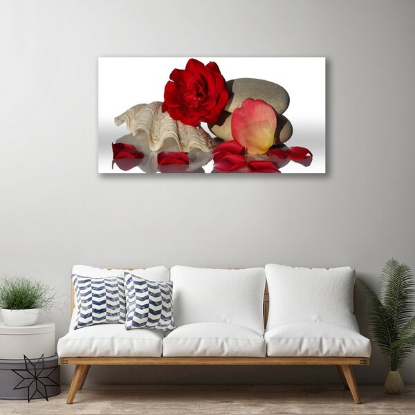 Tablou pe panza canvas Rose Conch pietre Art Roșu Alb Gri