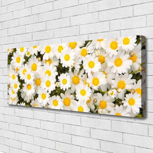 Tablou pe panza canvas Daisy Floral Galben Alb
