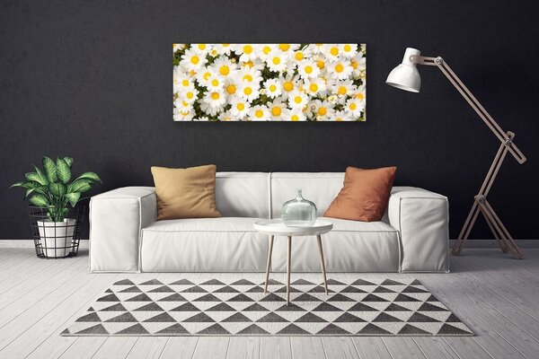 Tablou pe panza canvas Daisy Floral Galben Alb