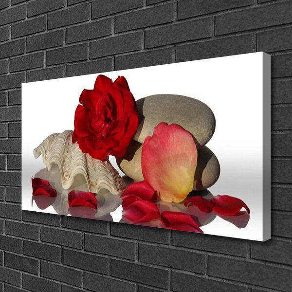 Tablou pe panza canvas Rose Conch pietre Art Roșu Alb Gri