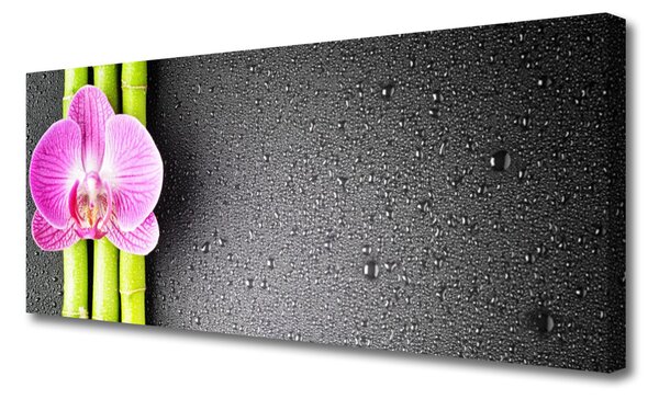 Tablou pe panza canvas Bamboo Tube floare verde florale roz