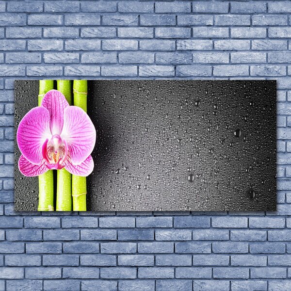 Tablou pe panza canvas Bamboo Tube floare verde florale roz