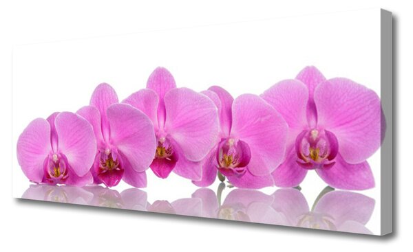 Tablou pe panza canvas Flori roz Floral
