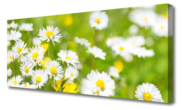 Tablou pe panza canvas Daisy Floral Galben Alb