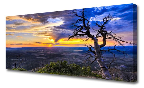 Tablou pe panza canvas Peisaj copac Brown