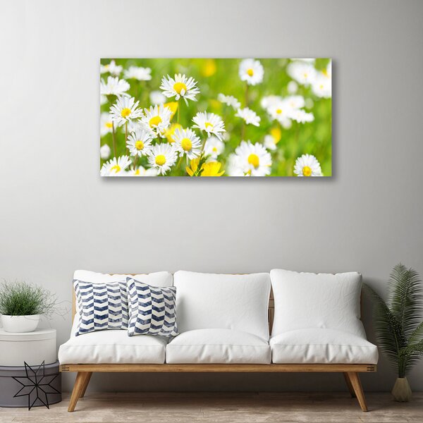 Tablou pe panza canvas Daisy Floral Galben Alb