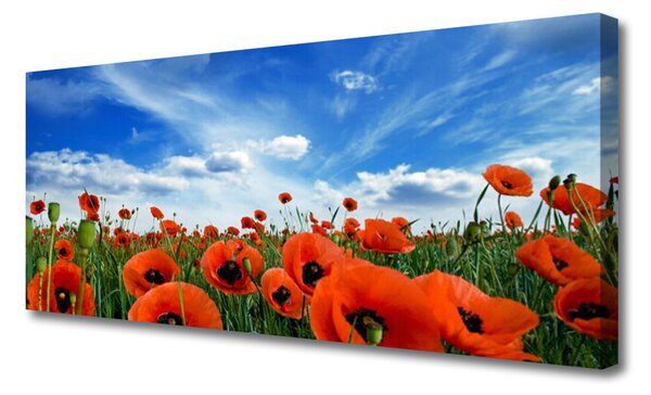 Tablou pe panza canvas Meadow Maci Floral Verde Roșu