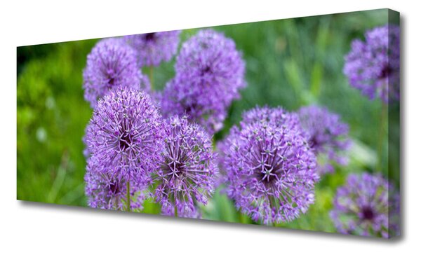Tablou pe panza canvas Flori roz Floral