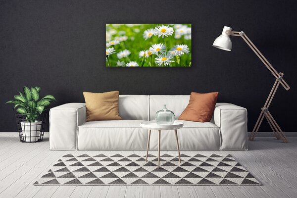 Tablou pe panza canvas Daisy Floral Galben Alb