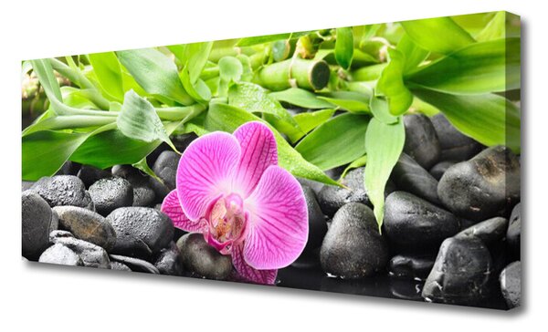Tablou pe panza canvas Frunze de flori Pietre Arta Roz Verde Negru