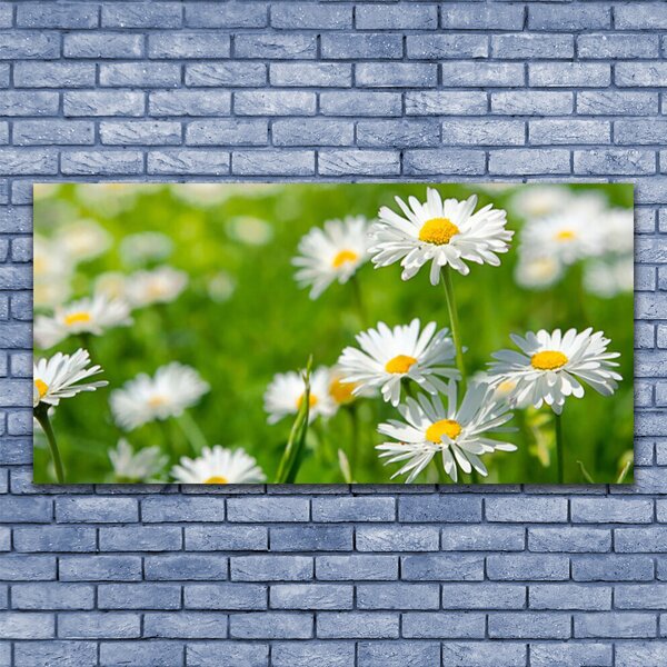Tablou pe panza canvas Daisy Floral Galben Alb