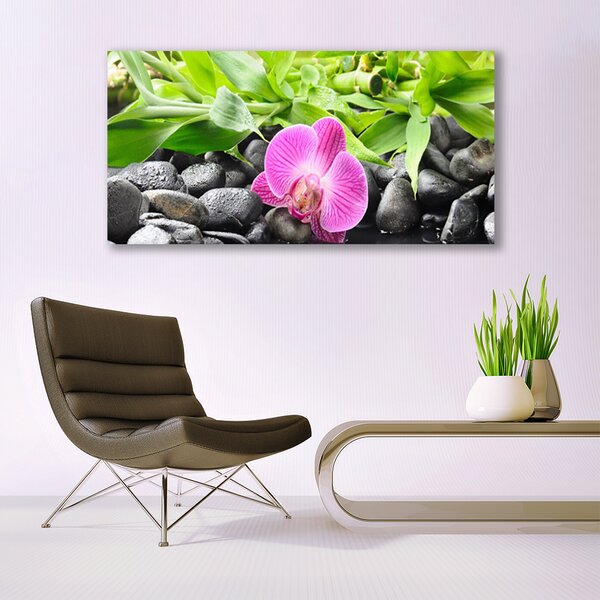 Tablou pe panza canvas Frunze de flori Pietre Arta Roz Verde Negru