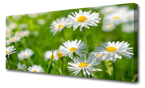 Tablou pe panza canvas Daisy Floral Galben Alb