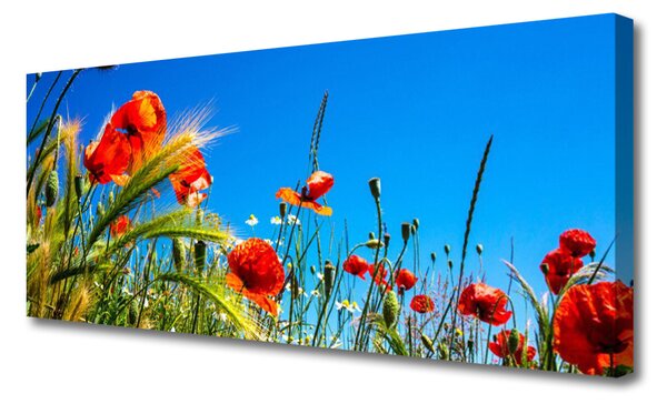 Tablou pe panza canvas Flori Floral Roșu Verde