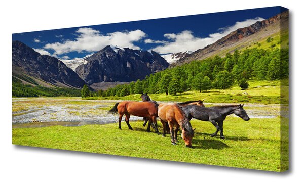 Tablou pe panza canvas Munte Copaci Cai Animale Gri Verde Maro Negru