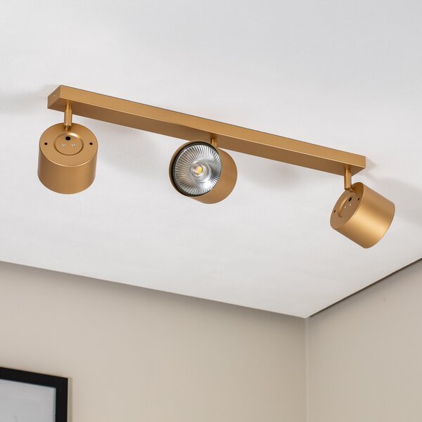 Argon Spot de tavan Chloe reglabil cu 3 becuri, auriu,, Auriu / Alamă, Camera de zi / sufragerie, Metal, Modern