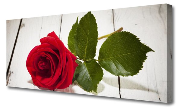 Tablou pe panza canvas Rose Floral Red