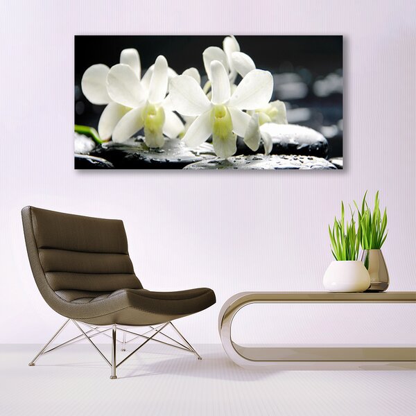 Tablou pe sticla Pietre florale flori alb negru