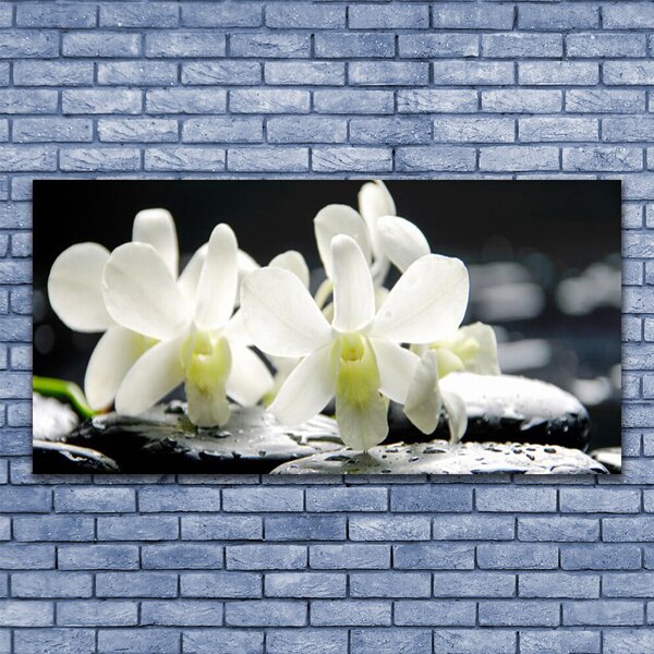 Tablou pe sticla Pietre florale flori alb negru