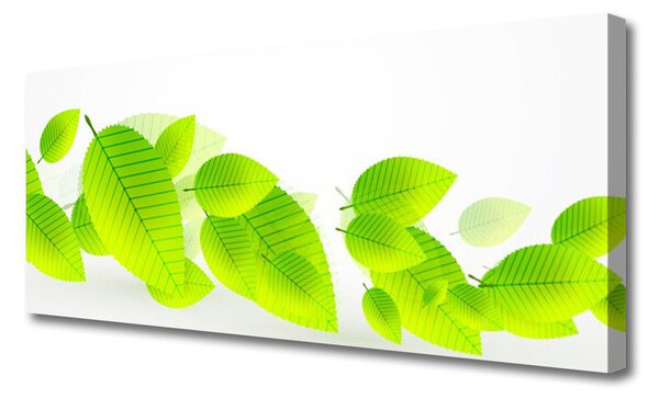 Tablou pe panza canvas Frunze verde florale