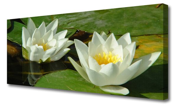 Tablou pe panza canvas Flori Floral Galben Alb