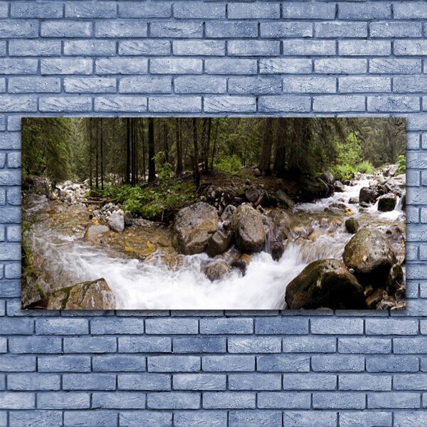 Tablouri acrilice Forest Brook Stones Natura Brun Verde Alb Gri