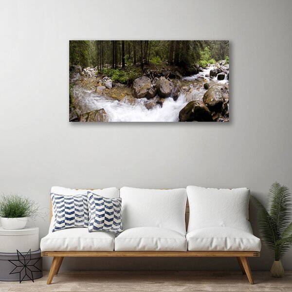 Tablou pe panza canvas Forest Brook Stones Natura Brun Verde Alb Gri