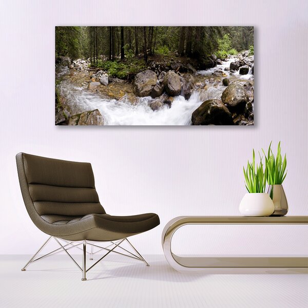 Tablouri acrilice Forest Brook Stones Natura Brun Verde Alb Gri