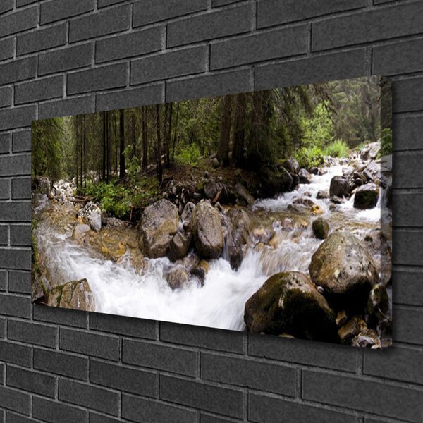 Tablou pe panza canvas Forest Brook Stones Natura Brun Verde Alb Gri