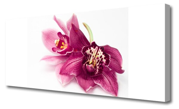 Tablou pe panza canvas Flori Floral Roșu