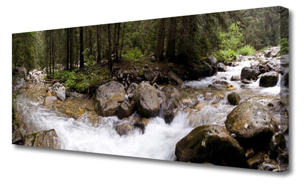 Tablou pe panza canvas Forest Brook Stones Natura Brun Verde Alb Gri