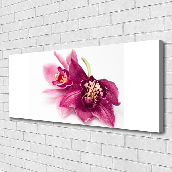 Tablou pe panza canvas Flori Floral Roșu