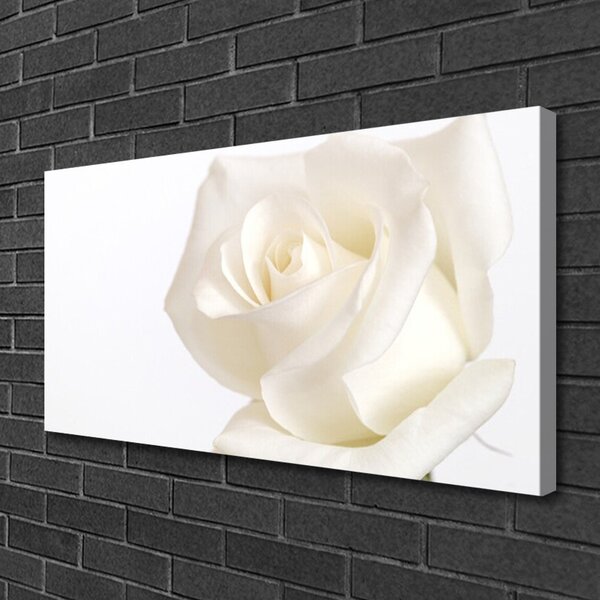 Tablou pe panza canvas Rose Floral alb