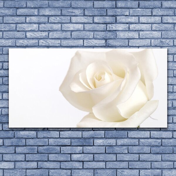 Tablou pe sticla Rose Floral alb