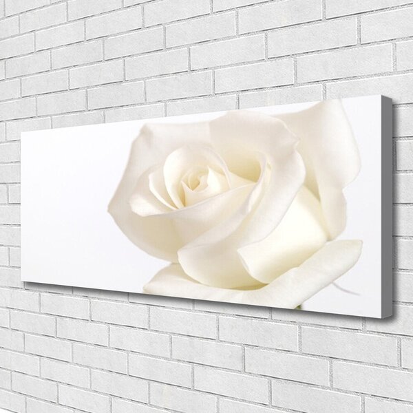 Tablou pe panza canvas Rose Floral alb