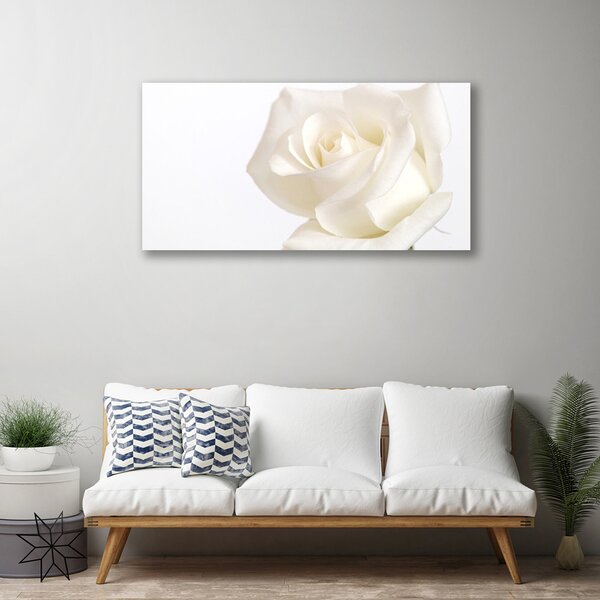 Tablou pe panza canvas Rose Floral alb