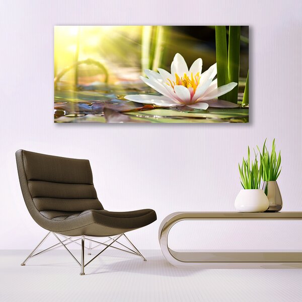 Tablou pe panza canvas Florale flori albe