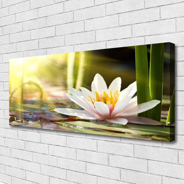 Tablou pe panza canvas Florale flori albe
