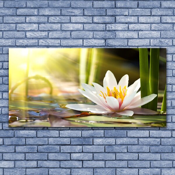 Tablou pe panza canvas Florale flori albe