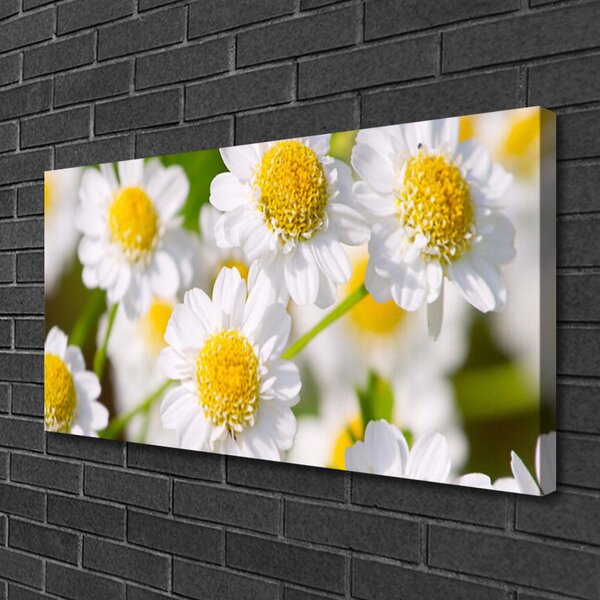 Tablou pe panza canvas Daisy Floral Galben Alb