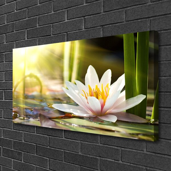Tablou pe panza canvas Florale flori albe