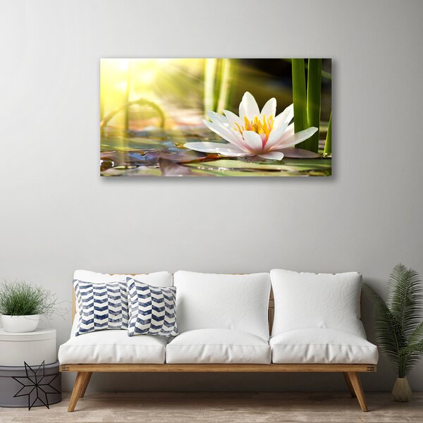 Tablou pe panza canvas Florale flori albe