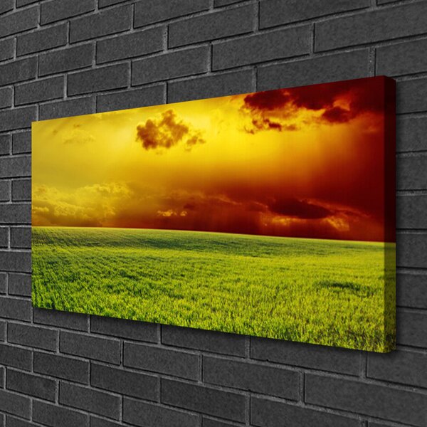 Tablou pe panza canvas Câmp Peisaj verde