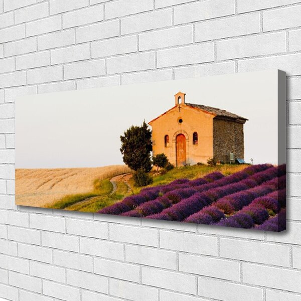 Tablou pe panza canvas Câmp Peisaj Brun Verde Roz